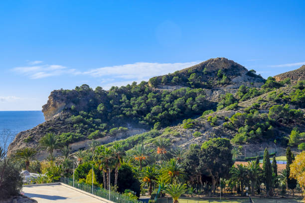 Scenics in Alicante, Spain