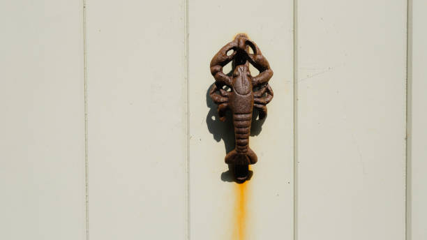 heurtoir de porte homard sur une porte en bois vert - doorstep door knocker door england photos et images de collection