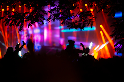 Silhouette of a dancing crowd at music festival