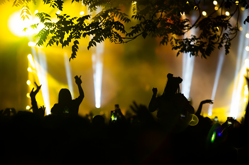 Silhouette of a dancing crowd at music festival