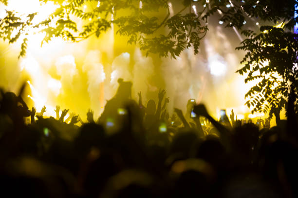 istock Silhouette of a dancing crowd at music festival 1501923708