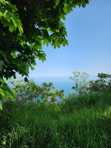 The shoreline of Lake Ontario glimmers in the summer sun, the meadow above the cliff full of life.