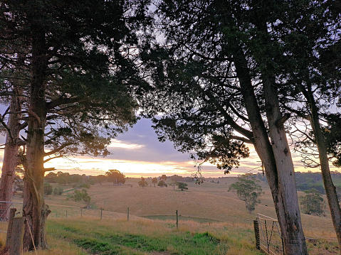 Farm land near Korumburra which is approx 90-minute drive from Melbourne on the South Gippsland