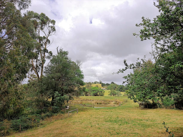 Farm land near Korumburra which is approx 90-minute drive from Melbourne on the South Gippsland