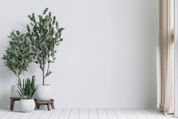 istock 3D illustration of a white spacious home interior featuring the plants with copy space 1501966723