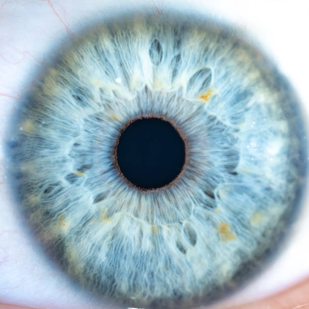 istock Male Blue Colored Eye With Long Lashes Close Up. Structural Anatomy. Human Iris Super Macro Detail. 1501969995