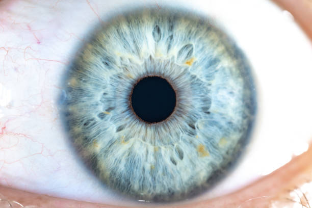 istock Male Blue Colored Eye With Long Lashes Close Up. Structural Anatomy. Human Iris Macro Detail. 1501969997