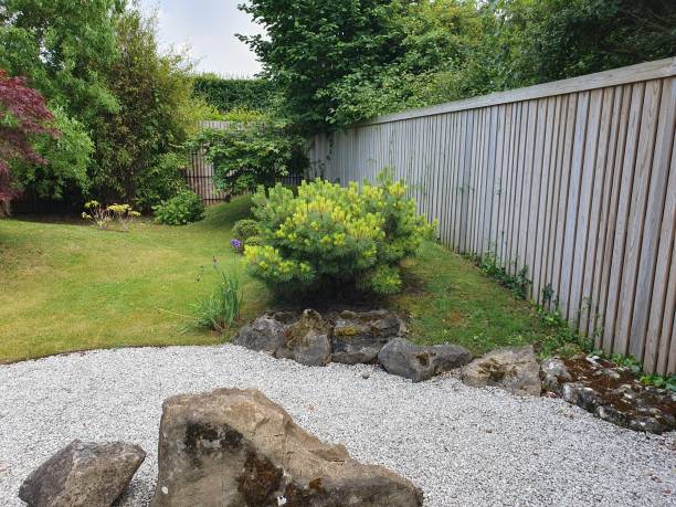 istock A garden with rocks, fence and grasses 1501971277