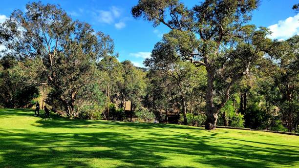 istock Caves House Hotel Grounds 1501974289