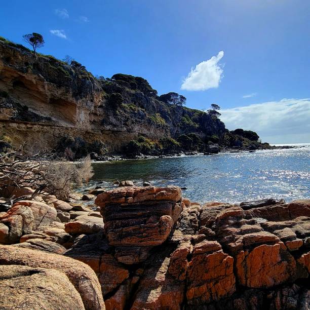 istock Bunker Bay, Margaret River Region, Western Australia 1501975048