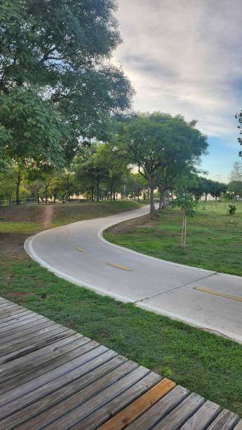 cement path, cycle path with curves, surrounded by trees and grass, with a wooden pedestrian path in the foreground, on the Costa de Vicente Lopez stock photo