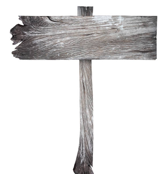 istock Old wooden sign isolated on white background 1501983524