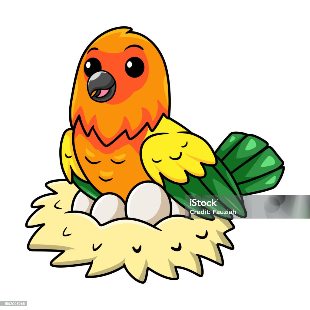 Kartun Burung Beo Conure Matahari Lucu Dengan Telur Di Sarangnya Kartun Burung Beo Conure Matahari Lucu Dengan Telur Di Sarangnya