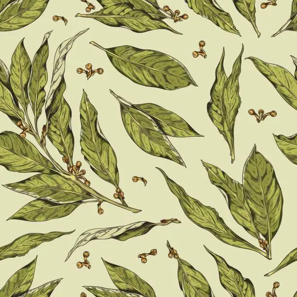 Vector illustration of Hand drawn vector seamless pattern with branch of bay leaf with corns, pepper, sketch illustration of fragrant bay leave