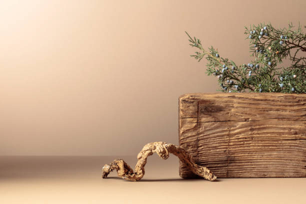 istock Abstract composition of old wooden plank and juniper branch. 1502022816