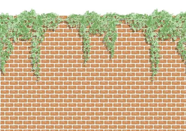 Vector illustration of Brick and ivy wallpaper, backgrounds.