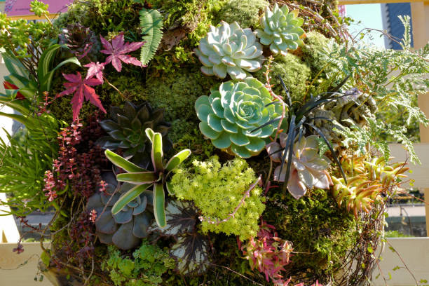 istock outdoor flower decoration 1502073010