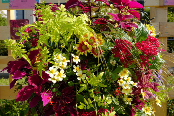 istock outdoor flower decoration 1502073012