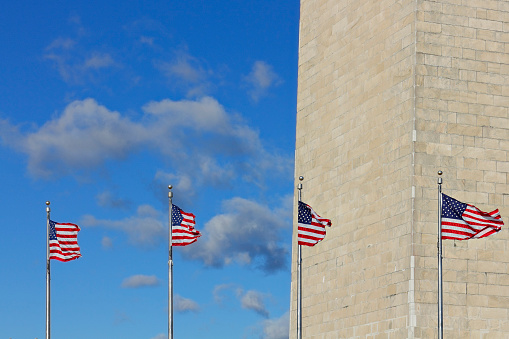Daytime view of American flags in front of the Washington monument in Washington DC.
