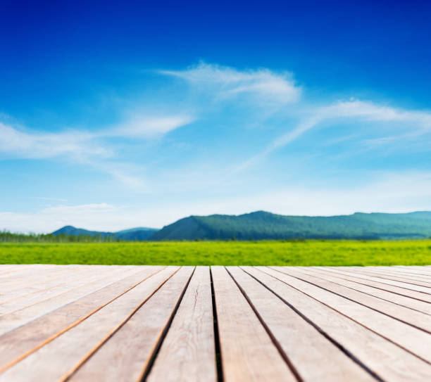istock Wooden sidewalk in public park 1502101747