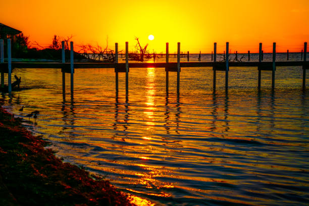 Big pine key
