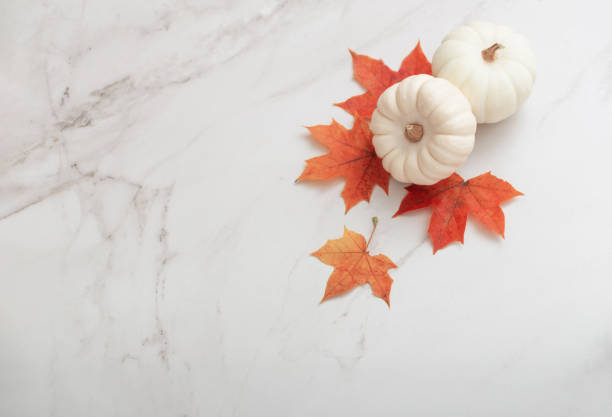 istock white pumpkins and orange maple leaves  on white marble background 1502113563