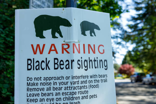 istock View of Warning Sign Black Bear sighting in North Vancouver 1502113603