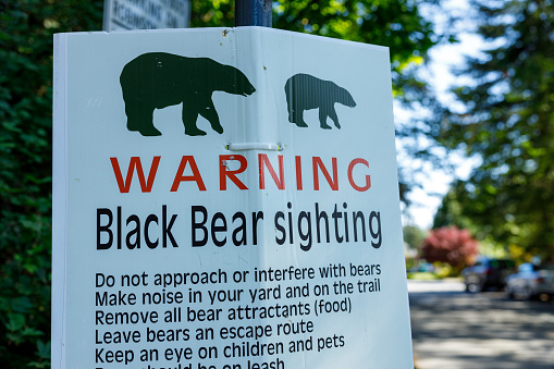 View of Warning Sign Black Bear sighting in North Vancouver