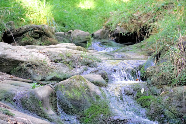 At Myoken Town, Yatsushiro City, Kumamoto Prefecture