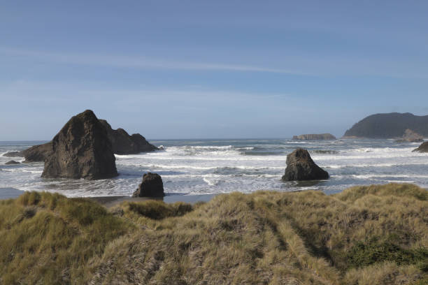 istock Oregon Coast near Gold Beach 1502128901