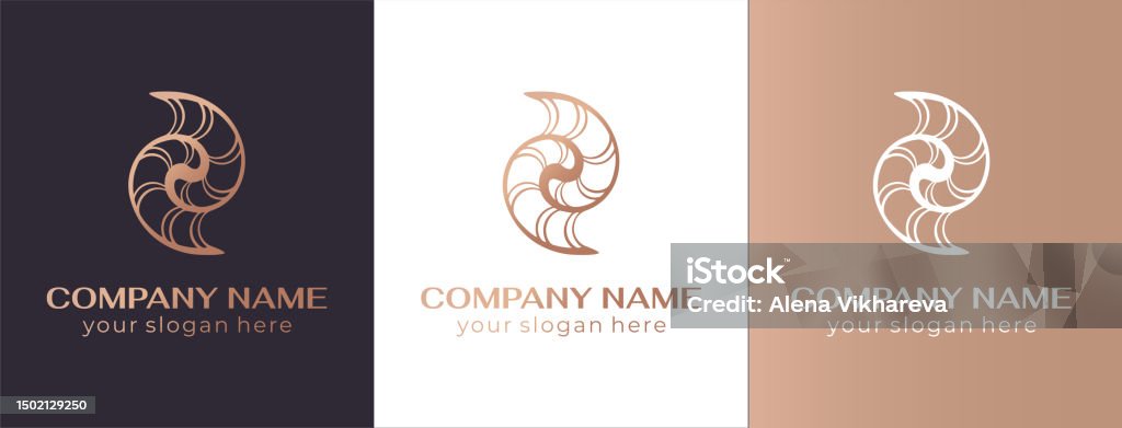 Unique Shell Logos Shell Logo Modern Seashell Naulilus Elegant Linear Logo Template To ...