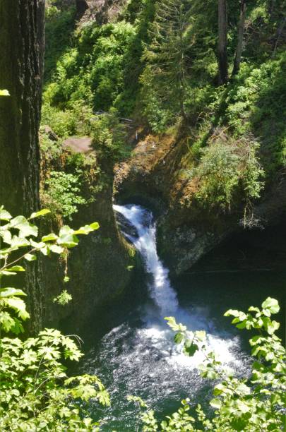 istock View down of Punchbowl Falls through foliage 1502131557