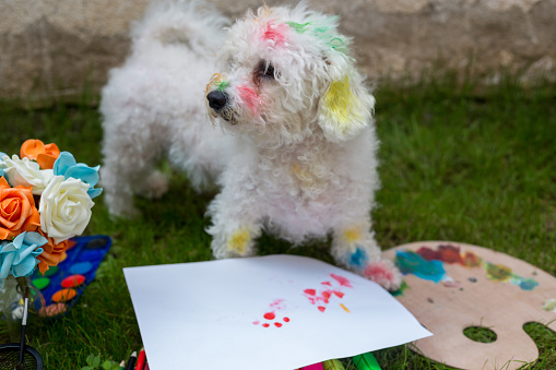 Creative dog painting with its paw on a large sheet of paper from a colorful palette