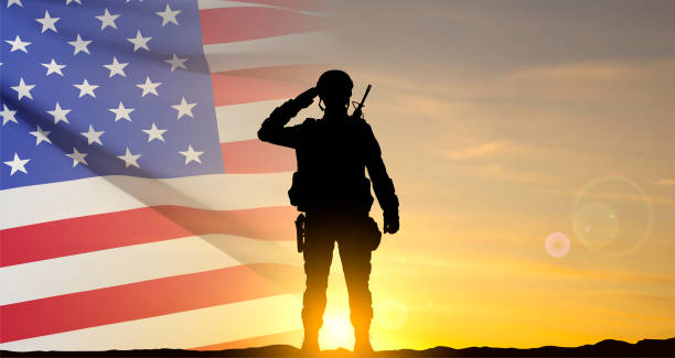 일몰을 배경으로 경례하는 미군 병사 - veteran military armed forces saluting stock illustrations