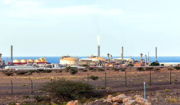 usine de dessalement au bord de la mer dans la ville de sur. sultanat d’oman - desalination plant photos photos et images de collection