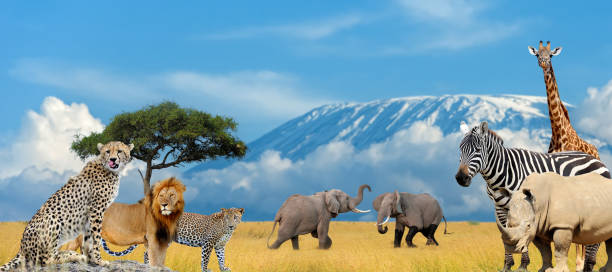 istock Landscape with many african animals 1502133588