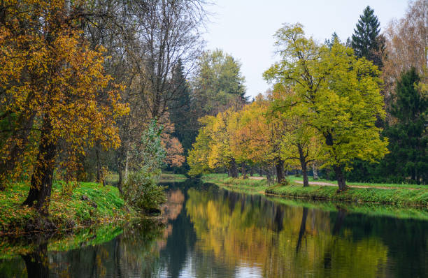 istock Lake scenery in autumn 1502137653