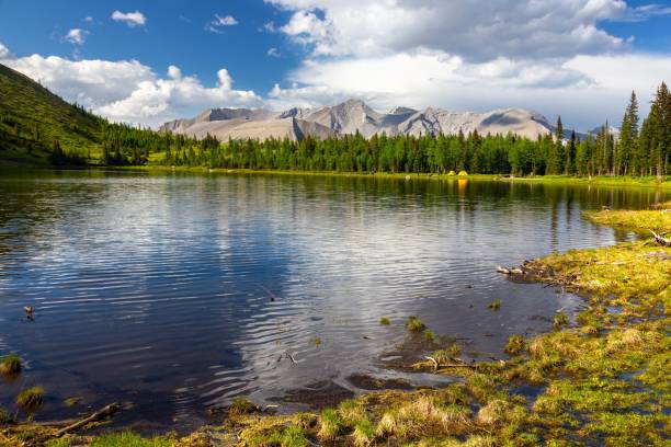 istock Beautiful Rae Lake Landscape.  Treelined Shore, Deep Blue Water and Distant Mountain Peaks. 1502139309