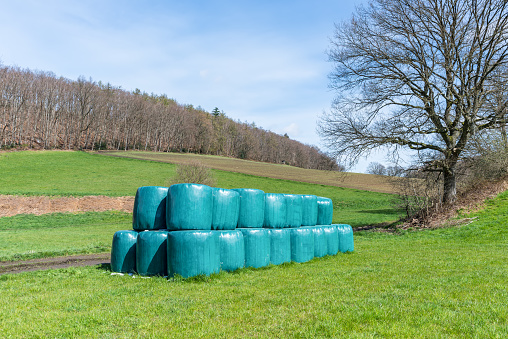 Hay bales are wrapped in plastic in a countryside field on a sunny day. Agricultural landscape with straw packages on the field.