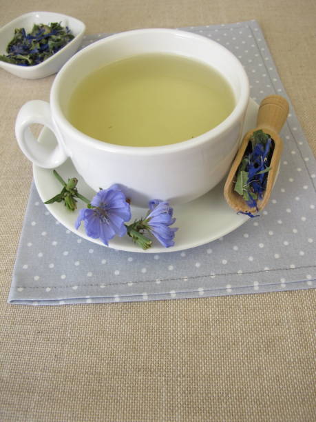 té de hierbas con flores secas y hojas de achicoria silvestre, cichorium intybus - inulin fotografías e imágenes de stock