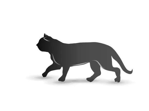 Vector illustration of Cat logo vector id card image