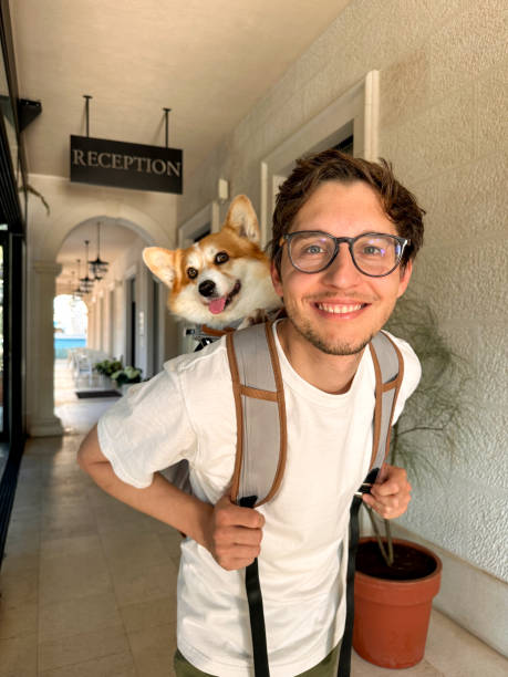 istock A young man settles into a hotel with his dog in a backpack 1502170638
