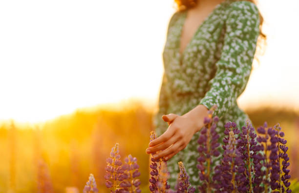 istock Young woman  in lavender fields 1502186931