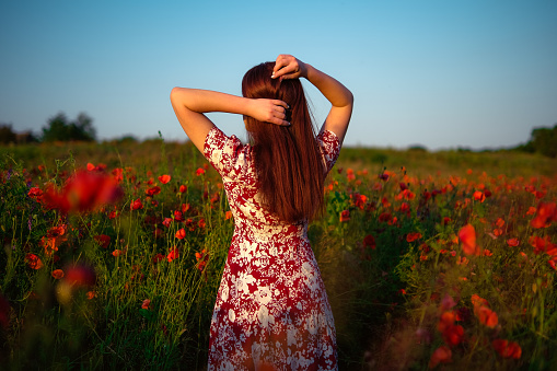 Woman in a field of blooming poppies in summer. Back view of girl with long red hair enjoying sun in poppy blossom. Freedom concept.