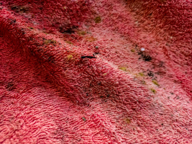 moisissure sur chiffon humide. vue de chiffon sale. champignon sur serviette rouge. problèmes de tissu de coton moisi - mold sink dirty mildew photos et images de collection