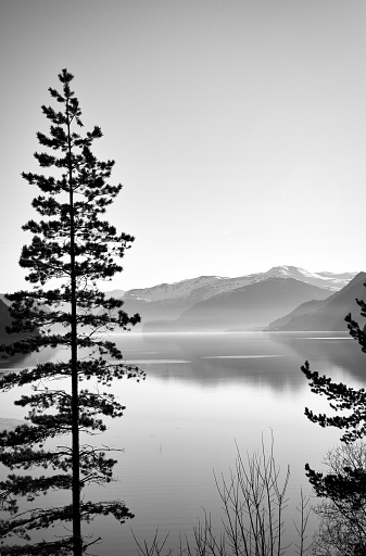 View of Oppstrynsvatnet lake in Norway in the morning hours in black and white. Snow covered mountains in background. Calm water in mountain lake. Landscape shot from Scandinavia.