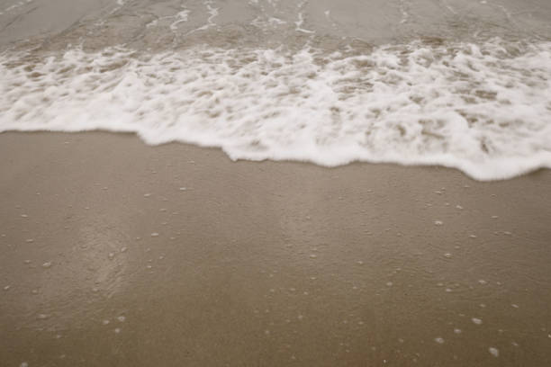 istock sand Santa Monica beach in cloudy november day 1502218351