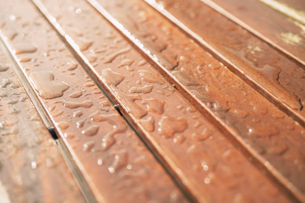 closeup wet wood bench after rain, shallow focus