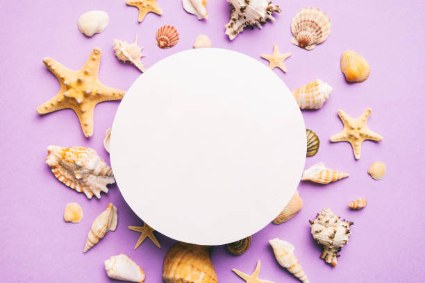 istock Summer time concept with blank greeting card and blank white paper on colored background. Seashells from ocean shore in the shape of frame separated with space for text top view 1502226046
