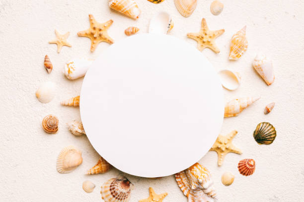 istock Summer time concept with blank greeting card and blank white paper on colored background. Seashells from ocean shore in the shape of frame separated with space for text top view 1502226053